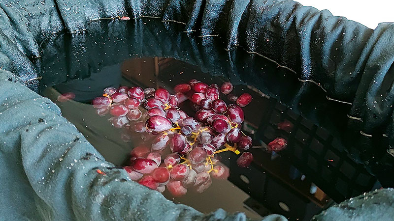 Foto von Martin Kühnel, Foodstylist, Berlin-Karow