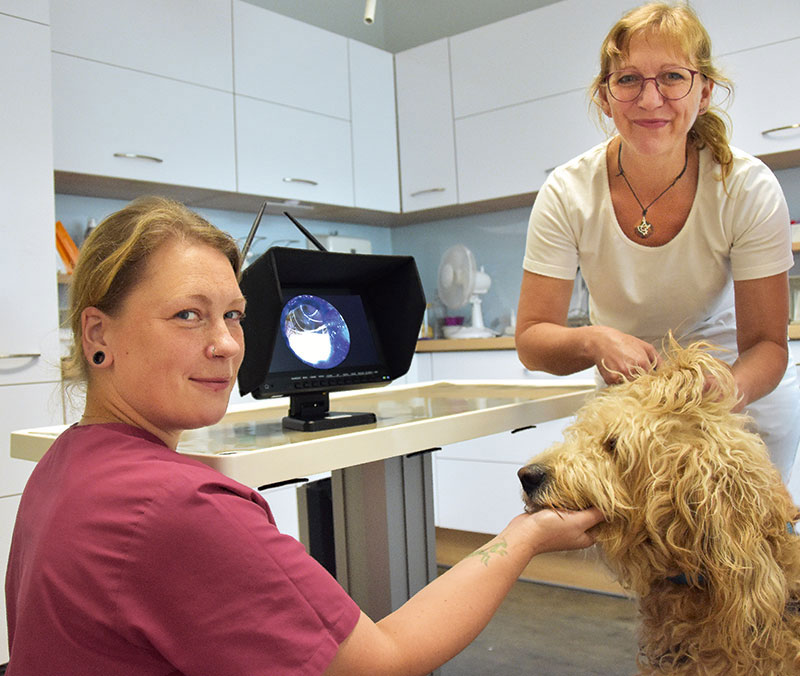 Foto von Dr. Doreen Gürtler von der Firma Tierarztpraxis Rahnsdorf