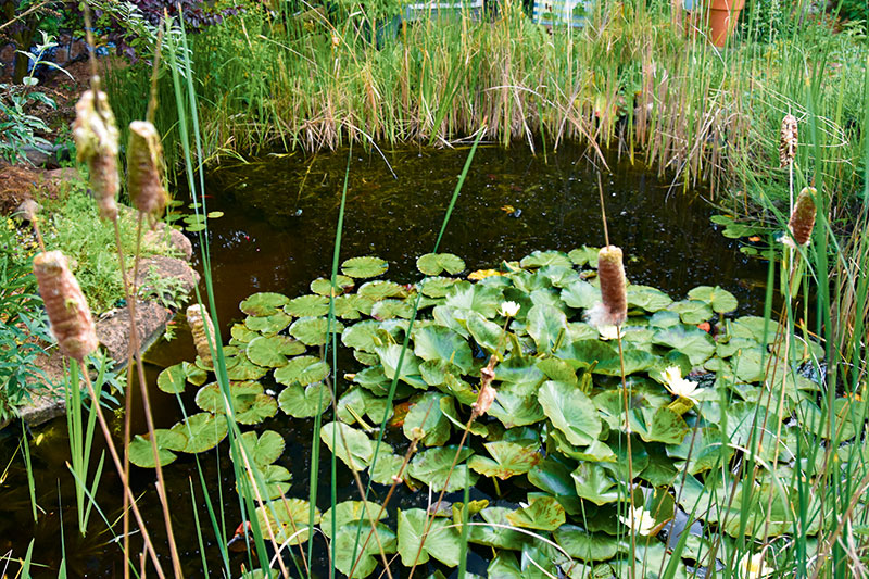 Foto von Michèle Kroll, Tierliebhaberin, Falkensee