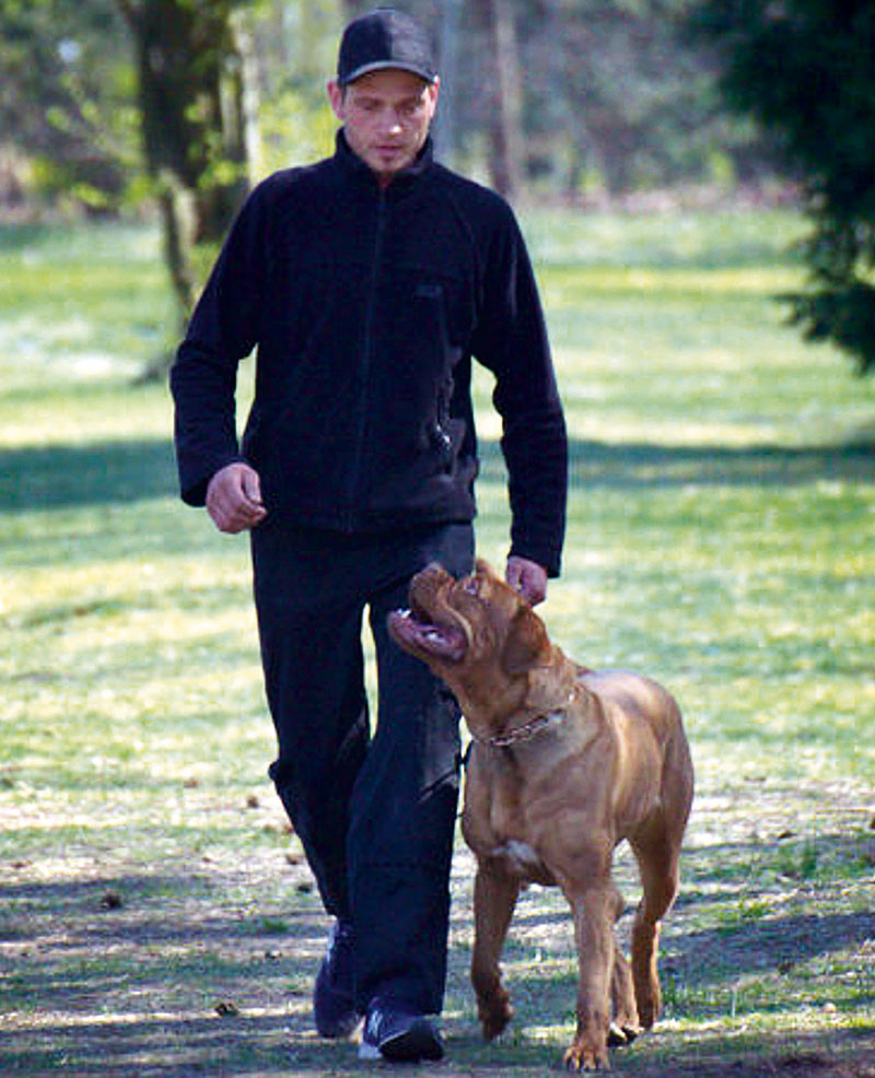 Foto von Marcel Distelkam, Hundesportverein MV Rahnsdorf e.V., Friedrichshagen