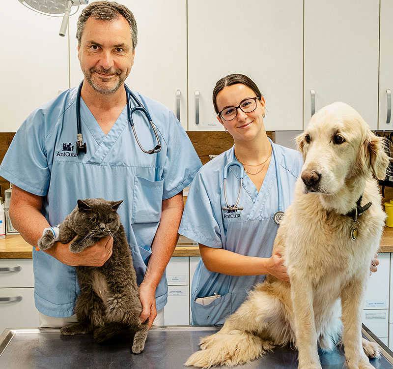 Foto von Dr. Thomas Hanisch von der Firma AniCura Potsdam GmbH Tierärztliche Klinik für Kleintiere